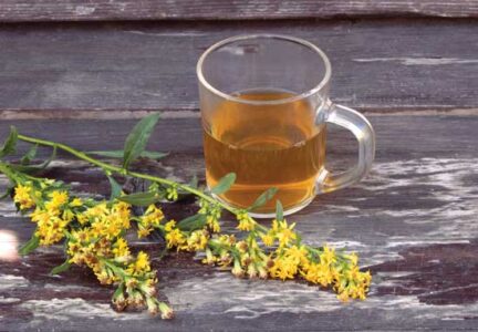 Goldenrod Cough Syrup Recipe Image